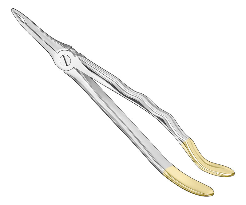 Extracting forceps, anat.