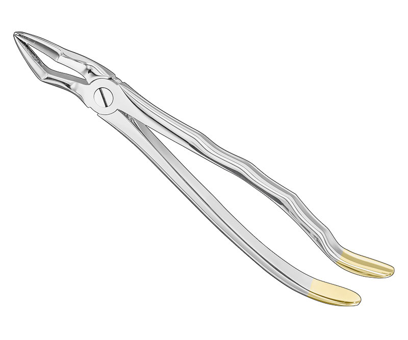 Extracting forceps, anat.