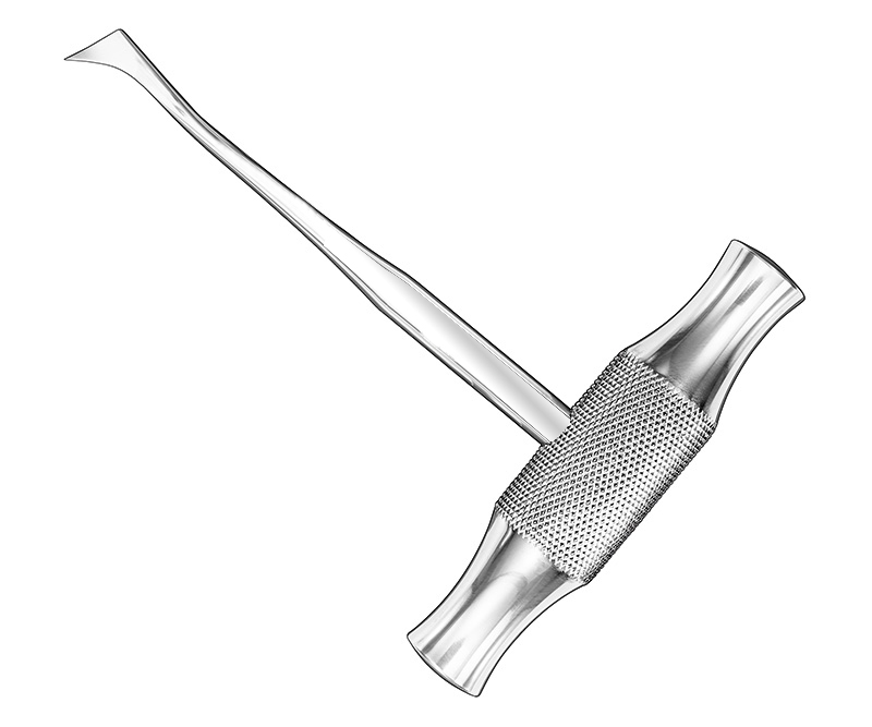 WINTER, root elevator