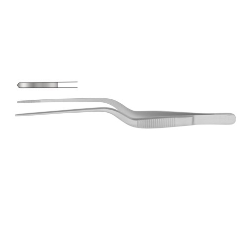 Alligator & Ear Forceps
