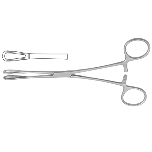 Sponge Holding and Sinus Forceps